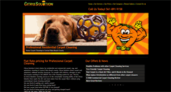 Desktop Screenshot of citrus-solution.com